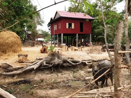 Paysage verdoyant du parc national de Kirirom au Cambodge avec forets de pins et collines