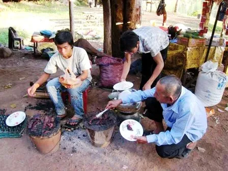 Foret de pins du parc national de Kirirom avec sentier de randonnee au Cambodge