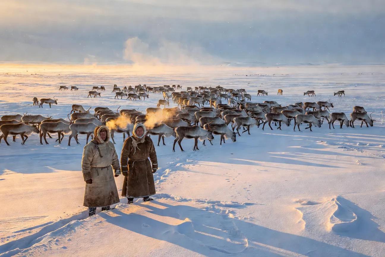 Éleveurs de rennes Nenets sur la toundra arctique du Yamal en hiver