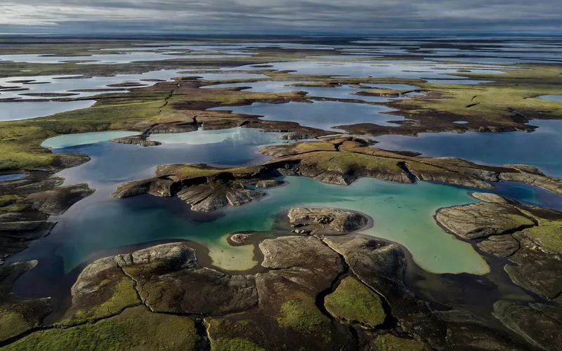 Defense de mammouth geante emergeant d'une falaise de permafrost en erosion sur une berge de riviere en Yakoutie
