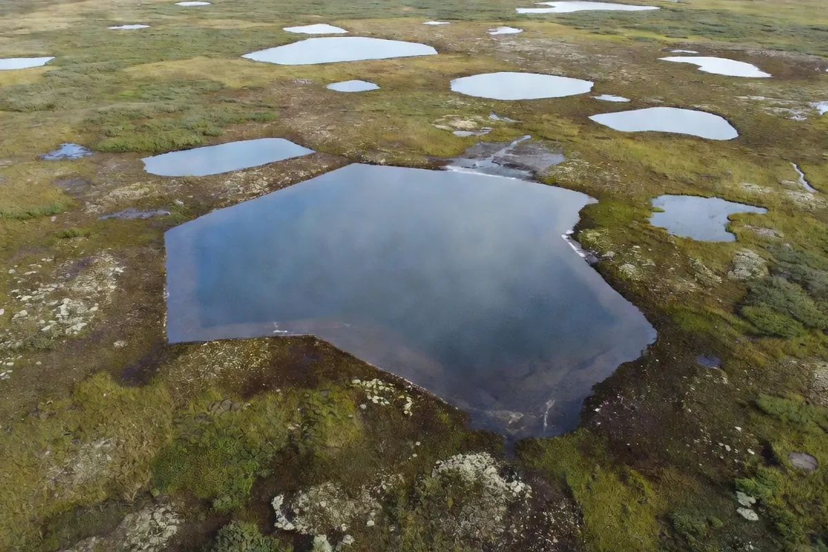 Lac thermokarstique en Sibérie vu du ciel en été, formes géométriques dans la toundra arctique